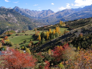 Pyrenaei autumnales